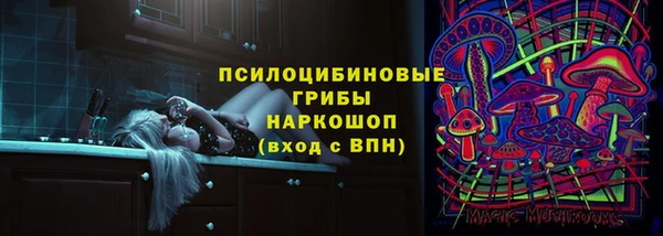 бошки Галич