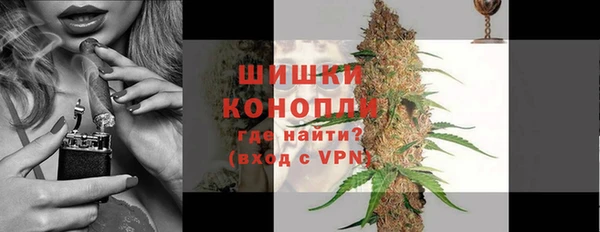 ГАЛЛЮЦИНОГЕННЫЕ ГРИБЫ Баксан
