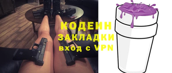 хмурый Арсеньев