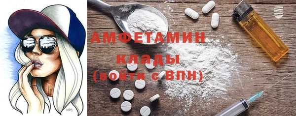 хмурый Аркадак