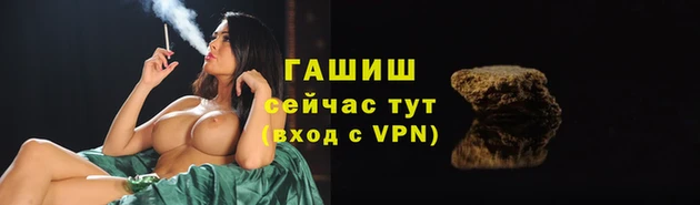 гидра Заволжье