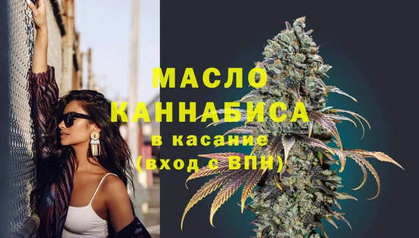 хмурый Аркадак