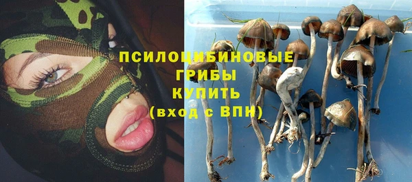 амфетамин Козловка
