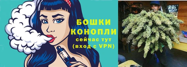 бошки Заводоуковск