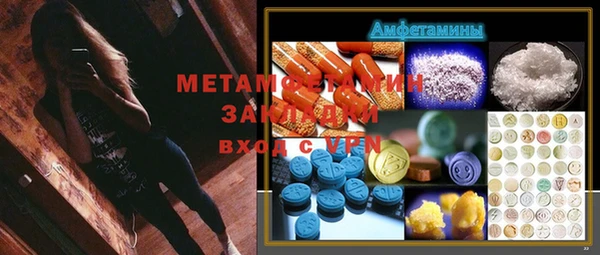 хмурый Аркадак