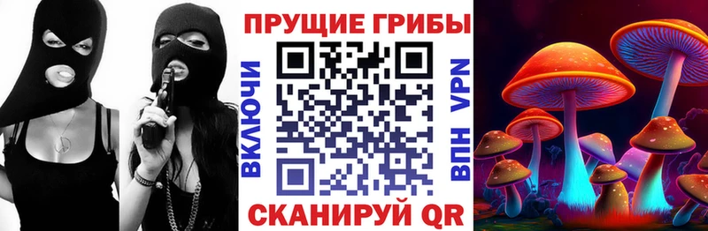 Галлюциногенные грибы Cubensis Чудово