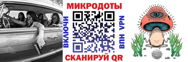 Псилоцибиновые грибы прущие грибы Чудово